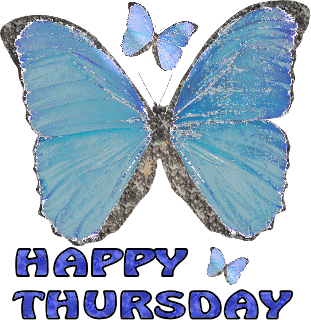 Happy Thursday -- Blue Butterfly