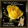 This rose is for a Special Friend... That Special Friend is You!