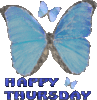 Happy Thursday -- Blue Butterfly