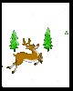 Rudolf 