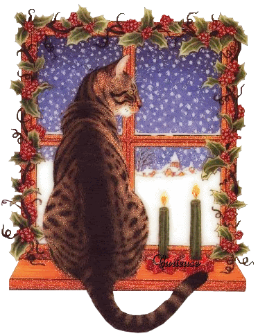 Merry Christmas -- Cat