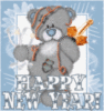 Happy New Year -- Teddy Bear