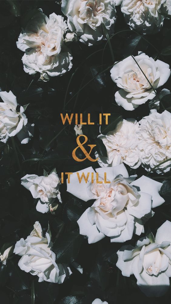 Will It & It Will