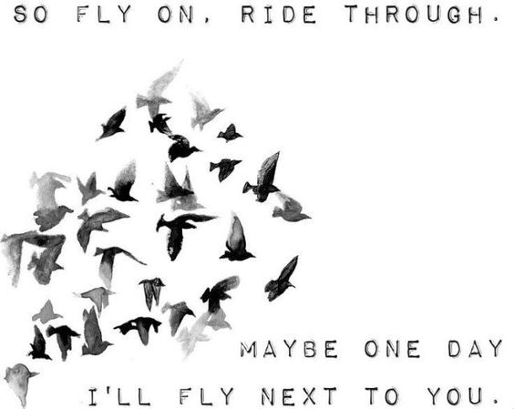 So fly on. Ride through. Maybe one day I'll fly next to you.