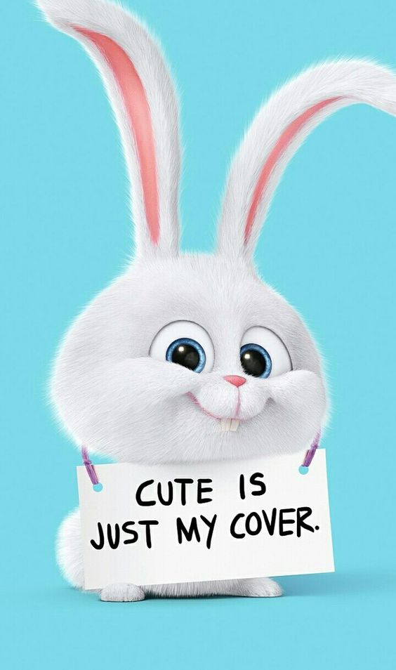 Cute is just my cover.
