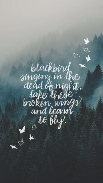 Blackbird singing in the dead of night, take these broken wings and learn to fly.