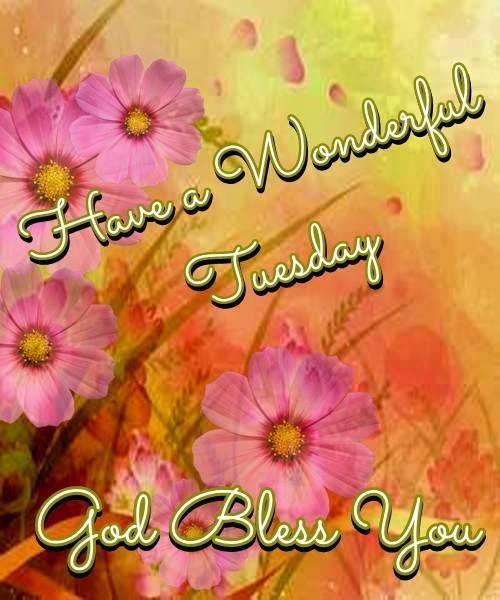 Have A Wonderful Tuesday God Bless You