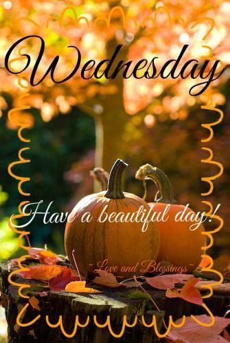 Have A Beautiful Wednesday -- Pumpkins