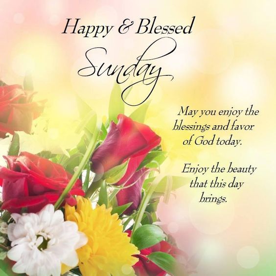 Happy & Blessed Sunday -- Flowers