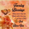 Tuesday Blessings