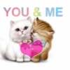 You & Me -- Cute Cats Love
