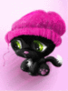 Cute Black Kitten in the Hat