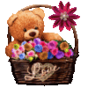 Love -- Teddy Bear with Flowers