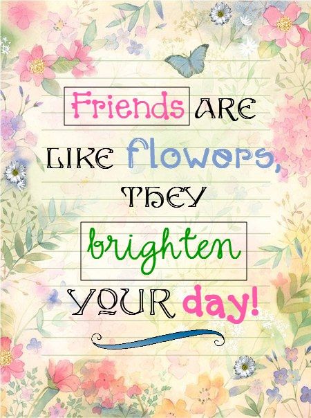 Friends Are Like Flowers, They Brighten Your Day!