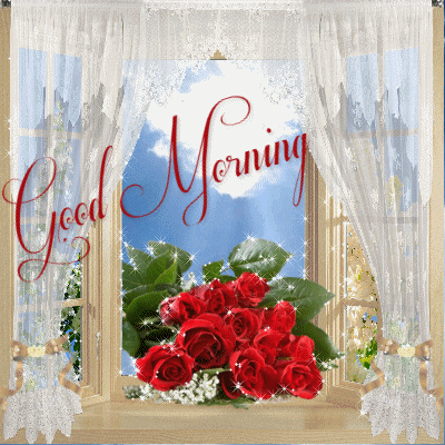 Good Morning -- Red Flowers on the Window