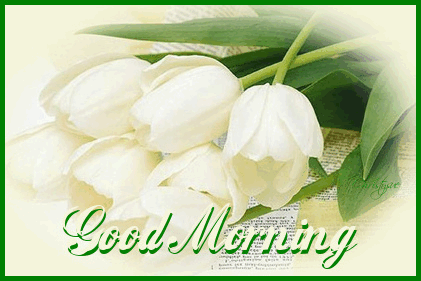 Good Morning -- White Flowers