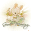 Good Morning -- Cute Rabbit