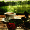 Coffee and Flower