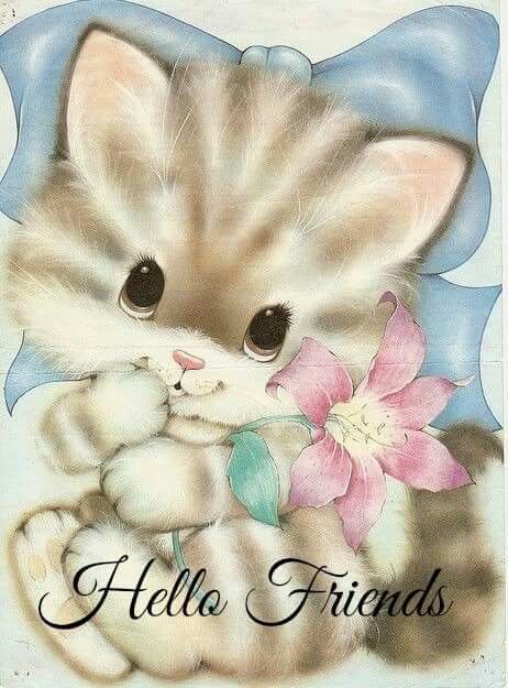 Hello Friends -- Cute Kitten with Flower