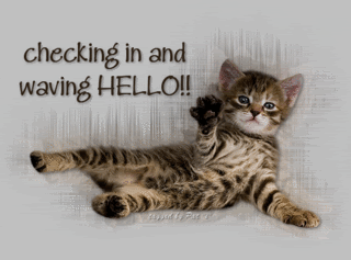 Checking in and waving Hello! -- Cute Kitten