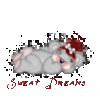 Sweet Dreams -- Teddy Bear