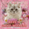 Have a Great Weekend -- Cute Kitten