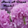 Have a Great Week! -- Purple Flowers