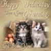 Happy Wednesday. Have a Great Morning. -- Cute Kittens