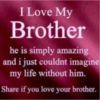 I Love My Brother