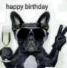 Happy Birthday -- Dog with Champagne