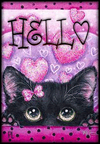Hello -- Black Cat