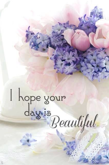 I hope your day is Beautiful -- Flowers