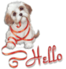 Hello -- Cute Puppy