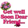 Get Well Soon Dear Friend... -- Flowers