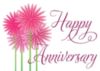 Happy Anniversary -- Pink Flowers