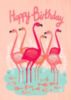 Happy Birthday -- Flamingos