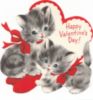 Happy Valentine's Day! -- Cute Kittens