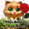 This Rose Is For You! -- Cute Kitten With Flower