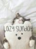 Lazy Sunday -- Funny Cat