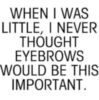 When I Was Little, I Never Thought Eyebrows Would Be This Important.