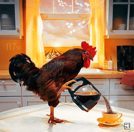 Cock with Coffee