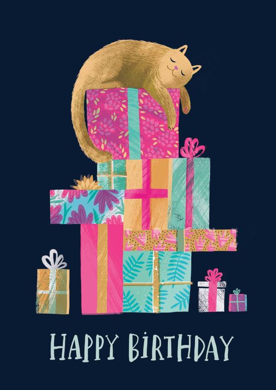 Happy Birthday -- Cat sleeping on Presents
