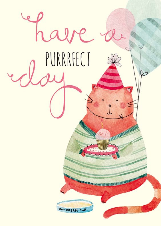 Happy Birthday! Have a Purrfect Day -- Cute Cat