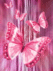 Pink Butterflies
