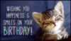 Wishing You Happiness & Smiles On Your Birthday! -- Cute Kitten