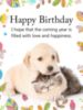 Happy Birthday Wishes -- Cute Pets