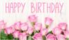 Happy Birthday -- Pink Roses