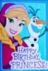 Happy Birthday, Princess! -- Frozen 
