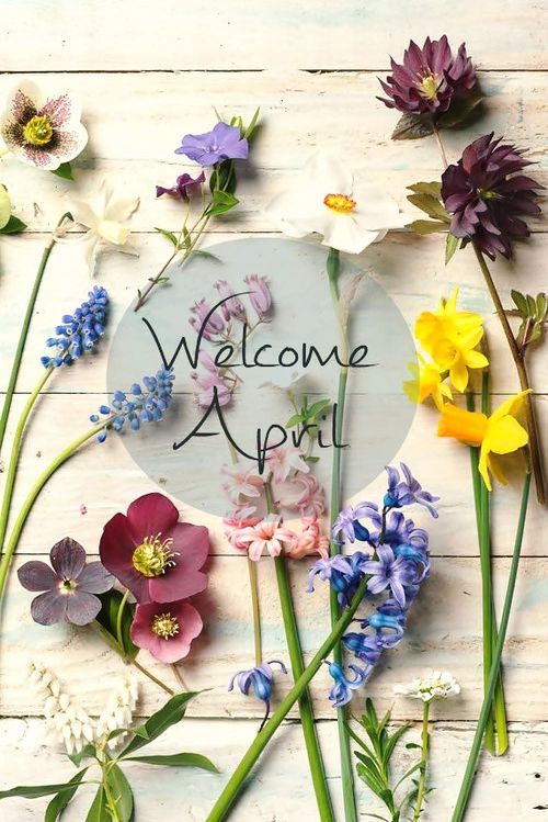 Welcome April -- Flowers