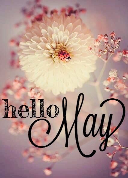 Hello May